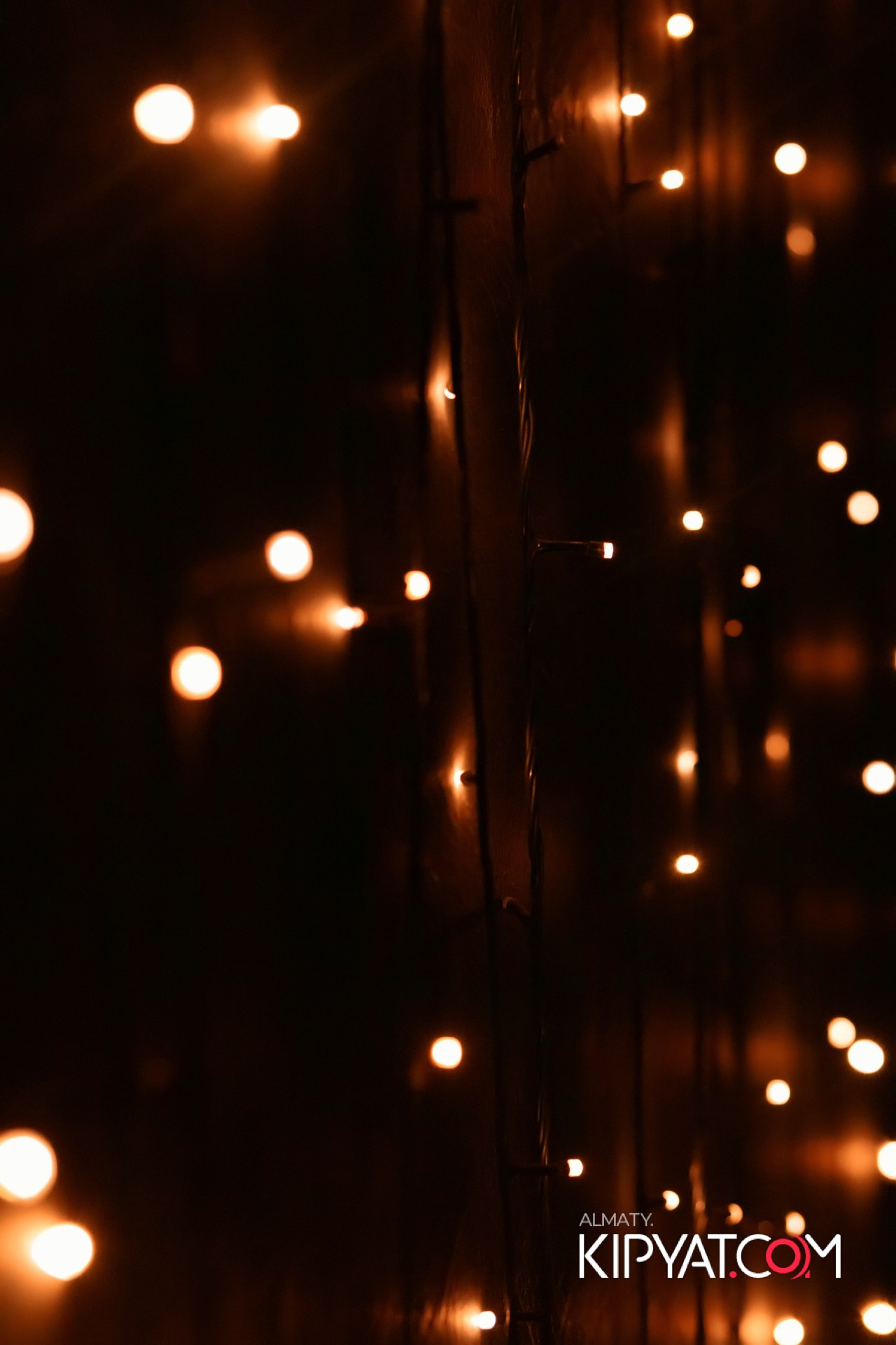 ШИШКА LOUNGE НА ЖИБЕК ЖОЛЫ. КИПЯТКОМ АЛМАТЫ!