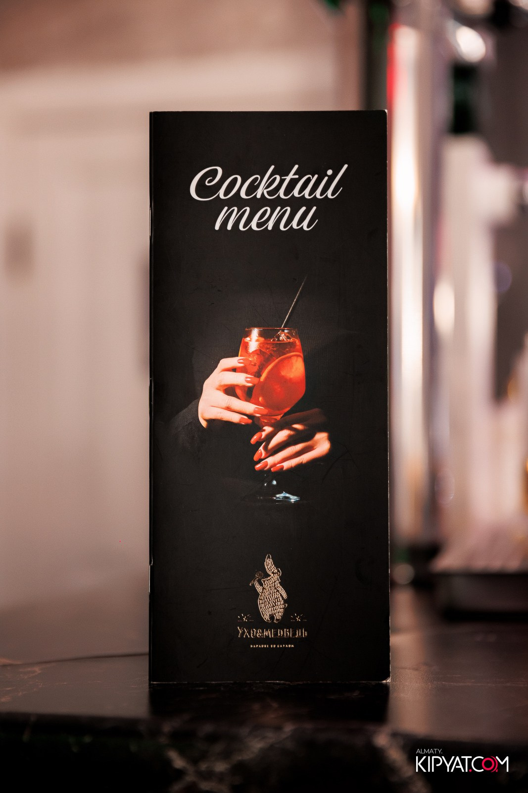 УХО И МЕДВЕДЬ НА ГАГАРИНА. КИПЯТКОМ АЛМАТЫ!