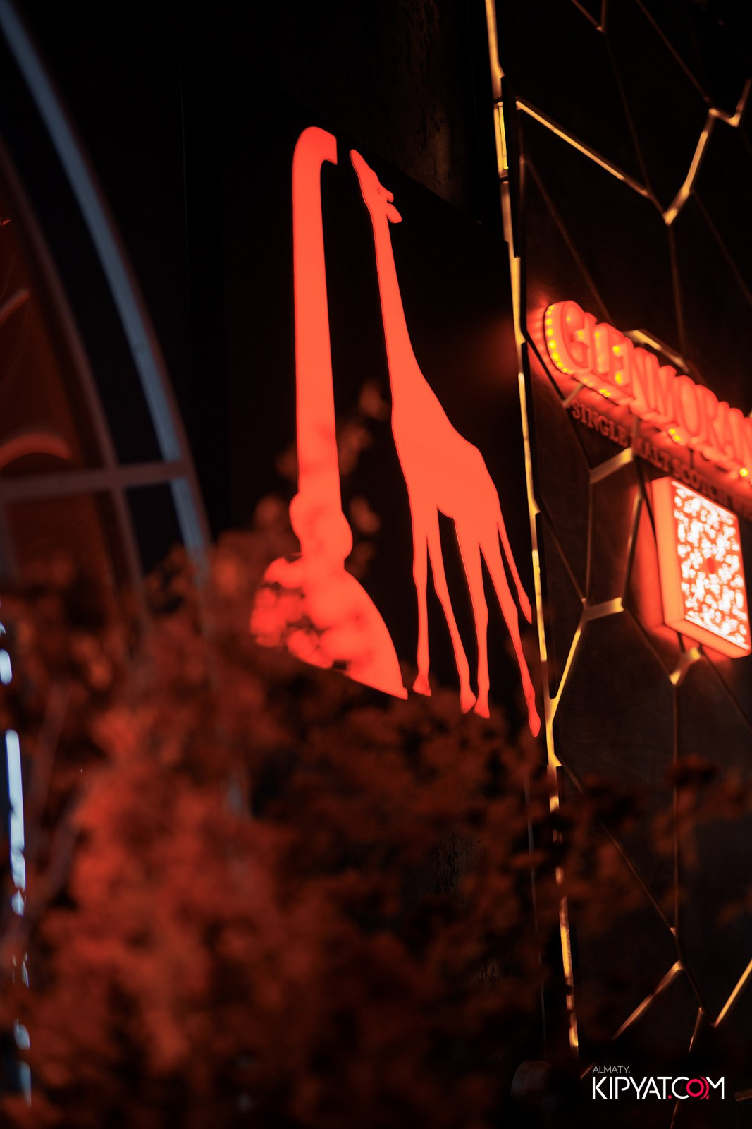 FRIENDS BAR & TERRACE. КИПЯТКОМ АЛМАТЫ!