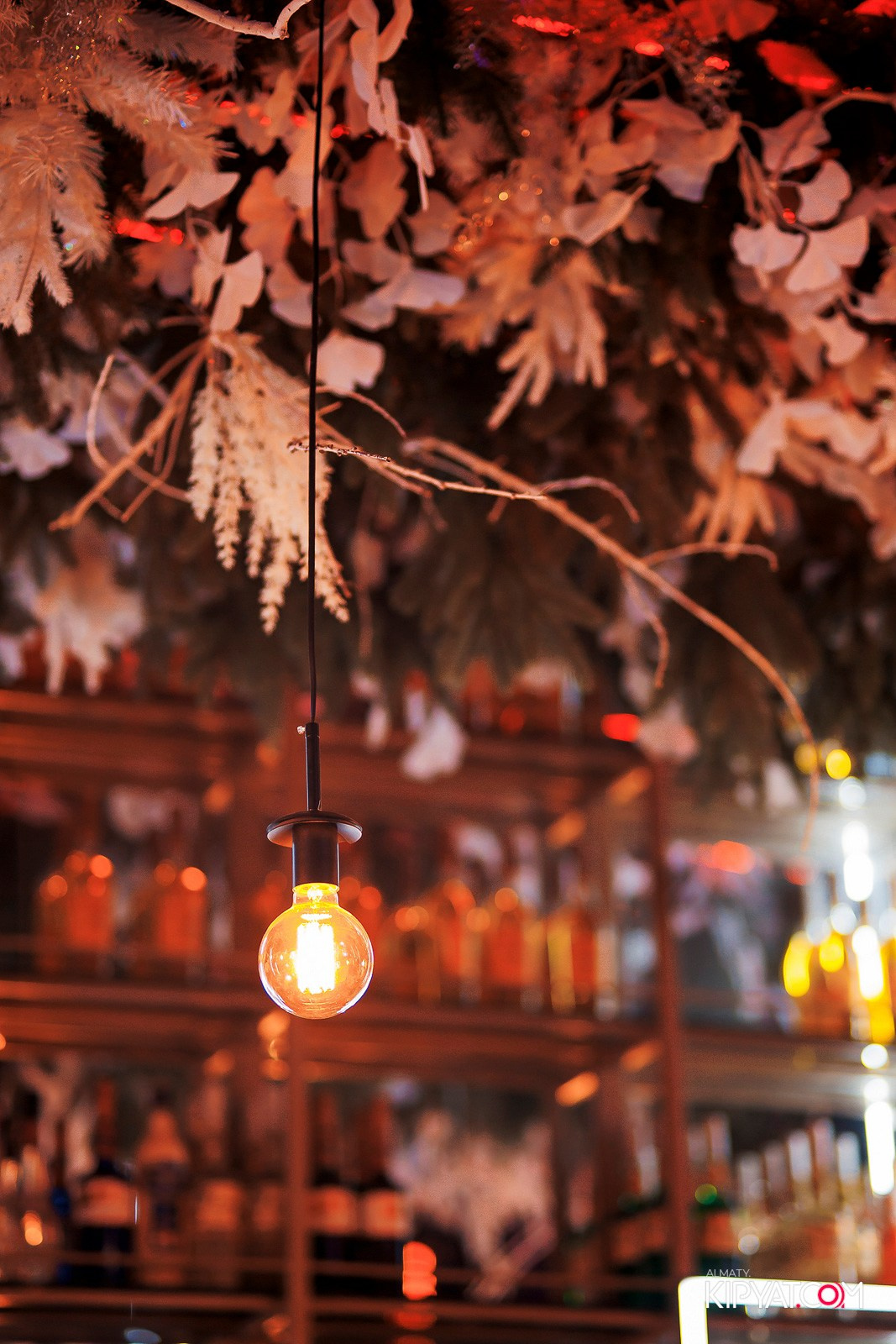 FRIENDS BAR & TERRACE. КИПЯТКОМ АЛМАТЫ! Фотосъемка мероприятий в Алматы