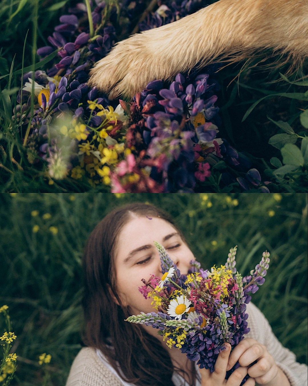 Соня и Кора. Фотограф анималист в Москве и Санкт-Петербурге Свиридова Анна
