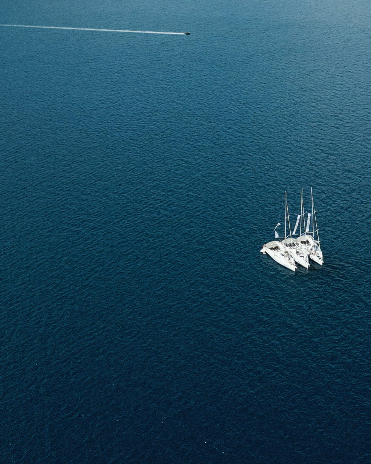 Wedding Regata. Sasha&Karina Photographers