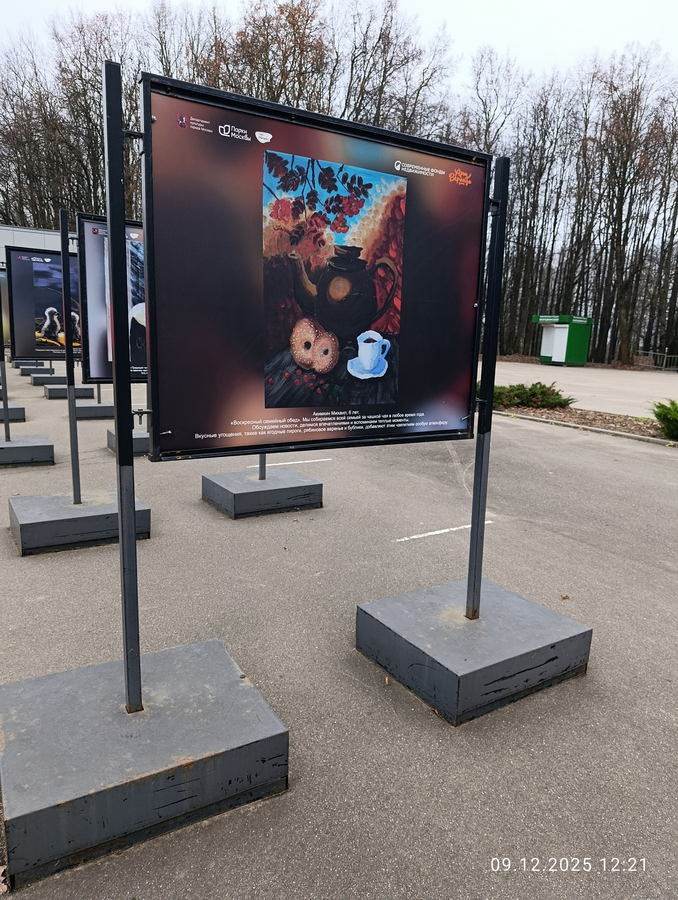 Шашкина Юлия Владимировна. Галерея участников Российской Премии Искусств