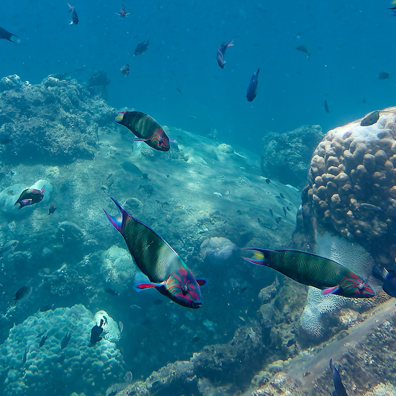 Мне посмотреть. Рыбов показываю