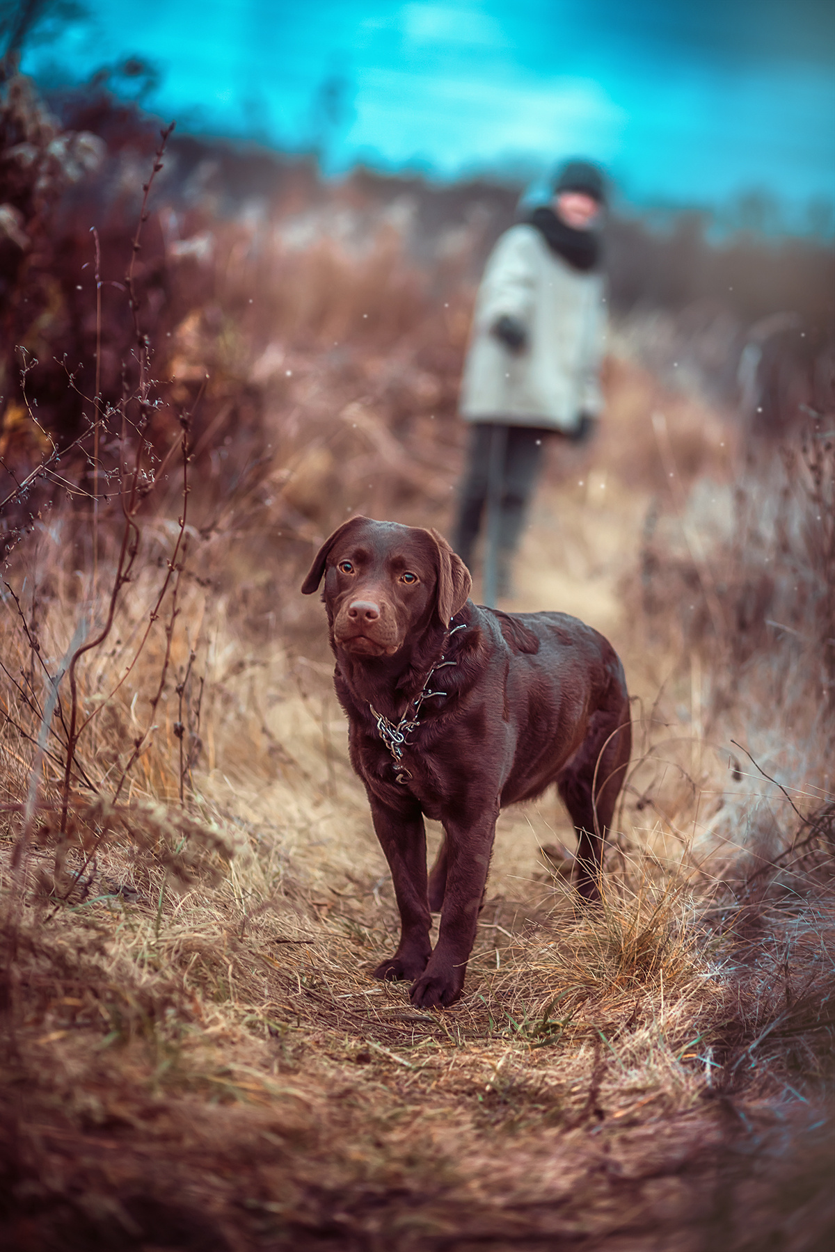 Елена Арди - Детская и семейная. Фотограф на крещение и венчание в Самаре и Тольятти Елена Арди