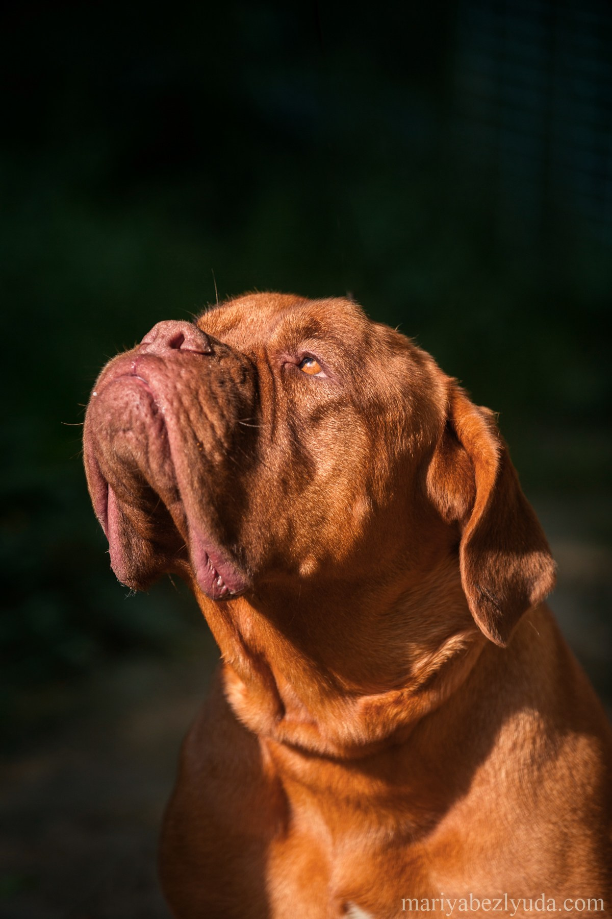 На природе. Семейный и детский фотограф в Москве Мария Быкова