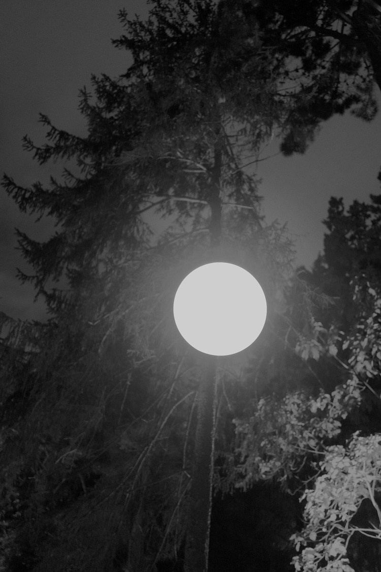 Проект Розы Лакавалла (Rosa Lacavalla) «Sana Sana». Private image