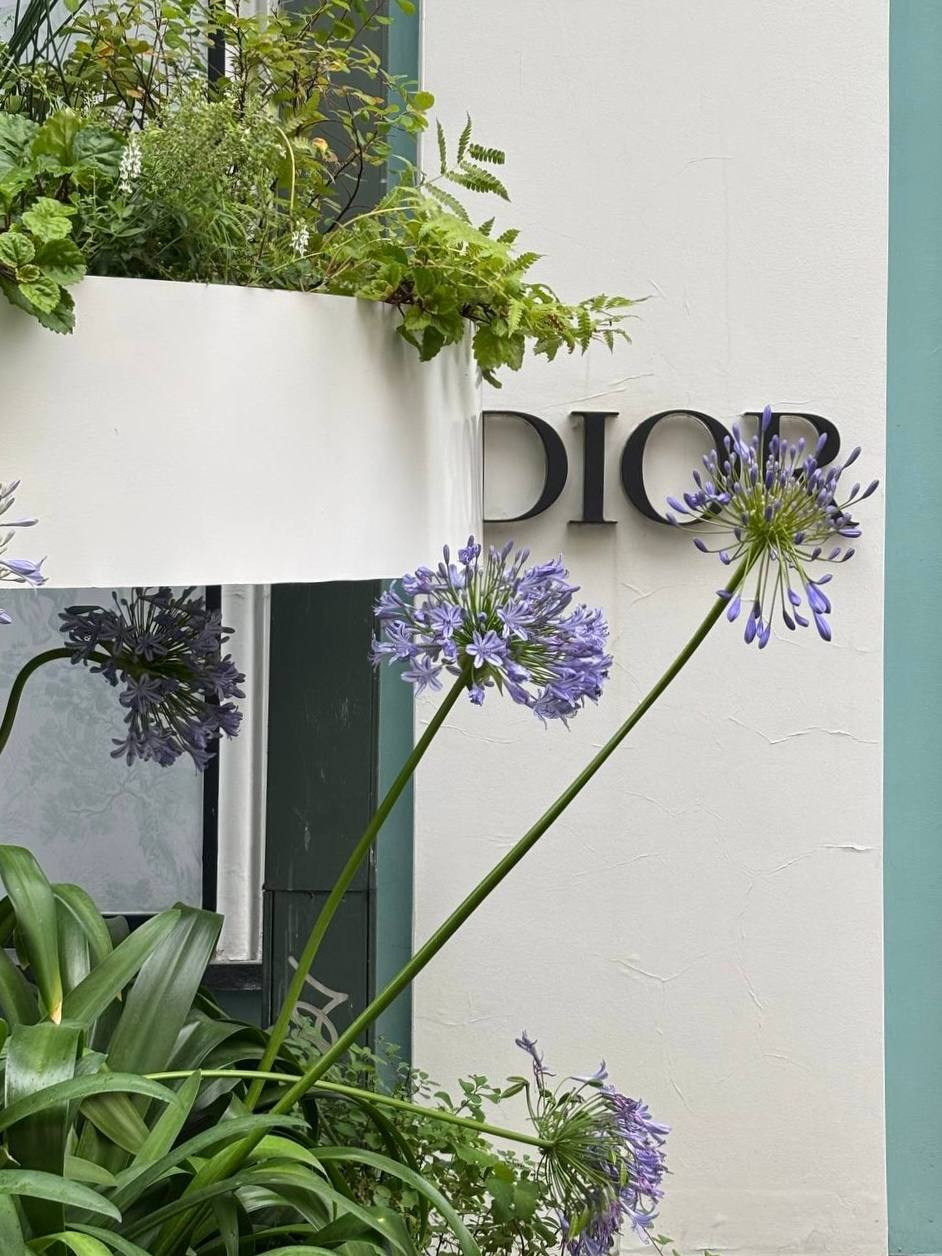 Архитектура