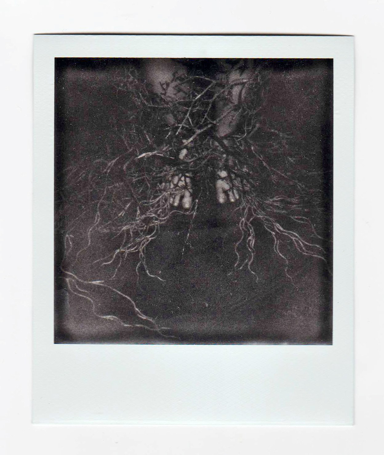 Transformation. WORKS