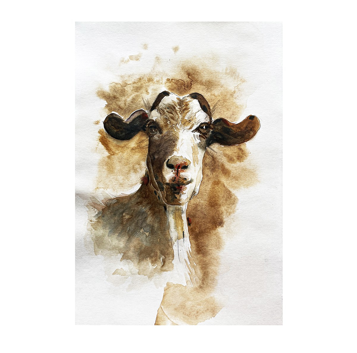 Акварель. Художник и Фотограф Тимохина Юлия