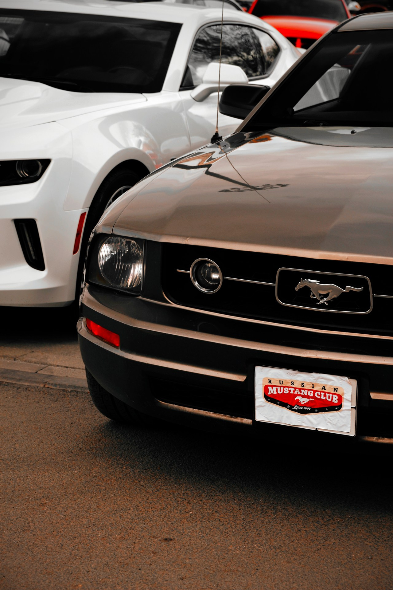 АВТОМОБИЛИ — МЕРОПРИЯТИЯ. Фотограф в Москве — Олег Штыканов