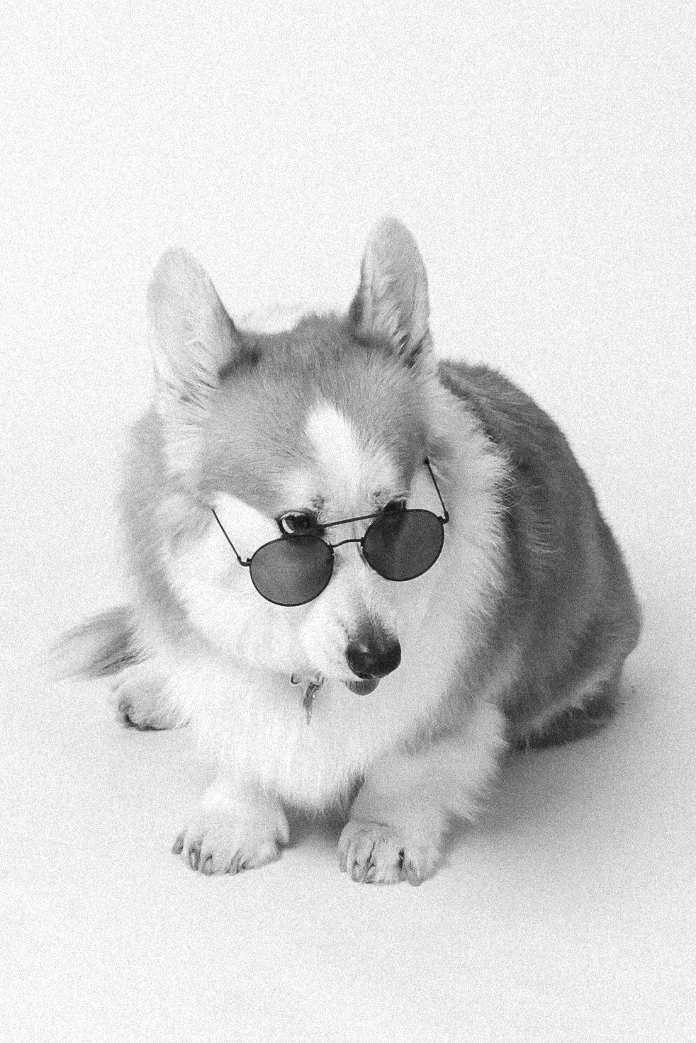 Фотостудия в Самаре. Фотостудия без фотографа. Автопортретная Самара