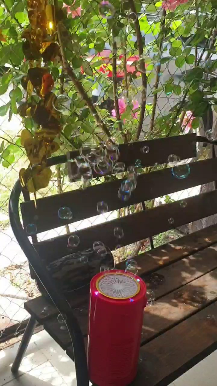 Летний лагерь 2025