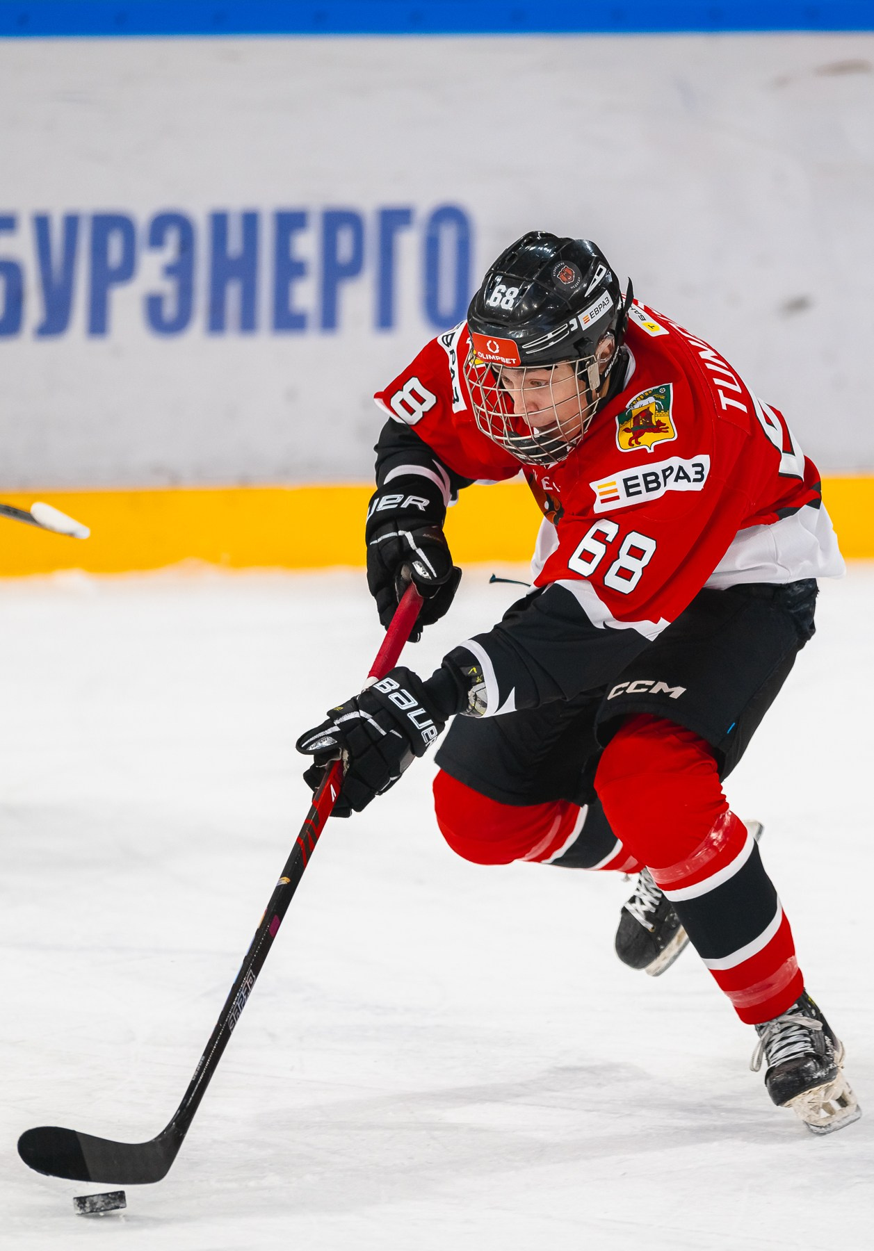 Медведи-Мамонты Югры. ProfotoNK