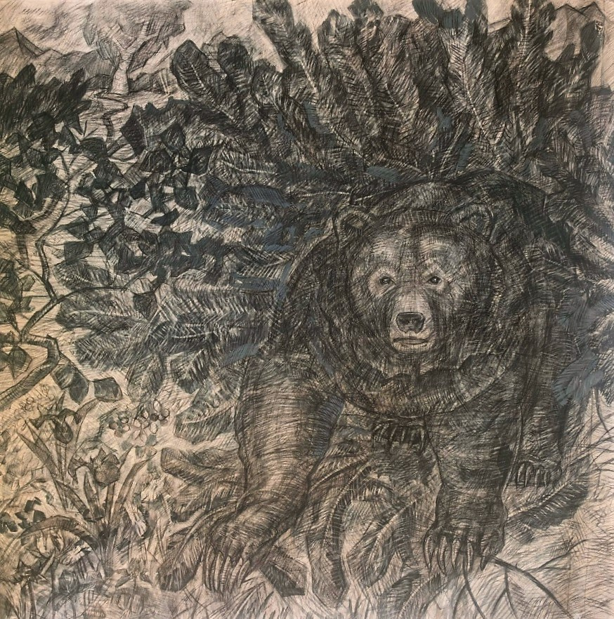 Медведь. Художник и гид по Камчатке Евгений Чайкин