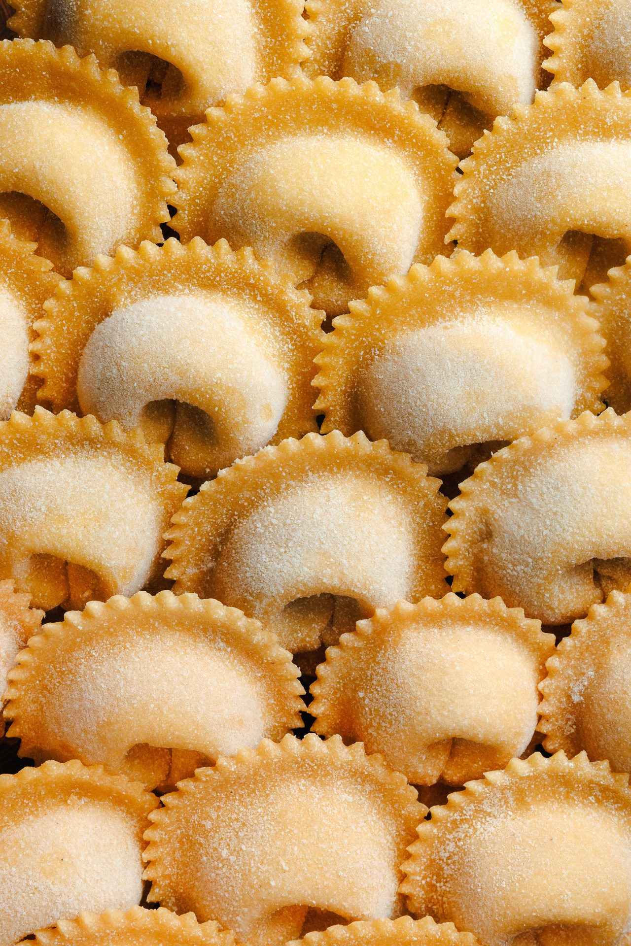 GooseGoose. Night2Day Санкт-Петербург