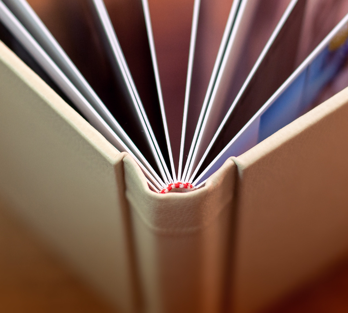 Подробности о книгах. Детский и семейный фотограф в Павлодаре Оксана Солей. Школа моделей