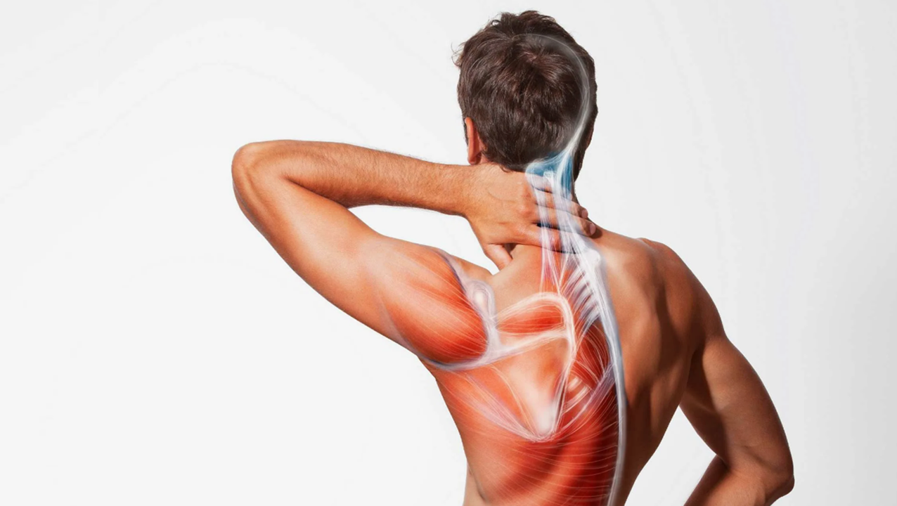 Готовые курсы приема продукции компании Сово-Сова. Сово-Сово — Омоложение и оздоровление!