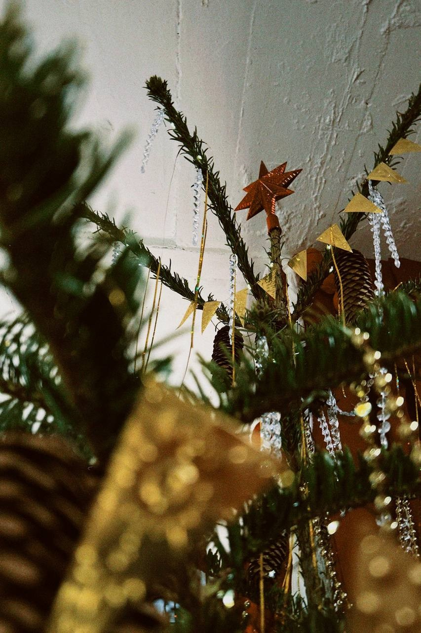 М4 Елка. Фотограф Настя Лев