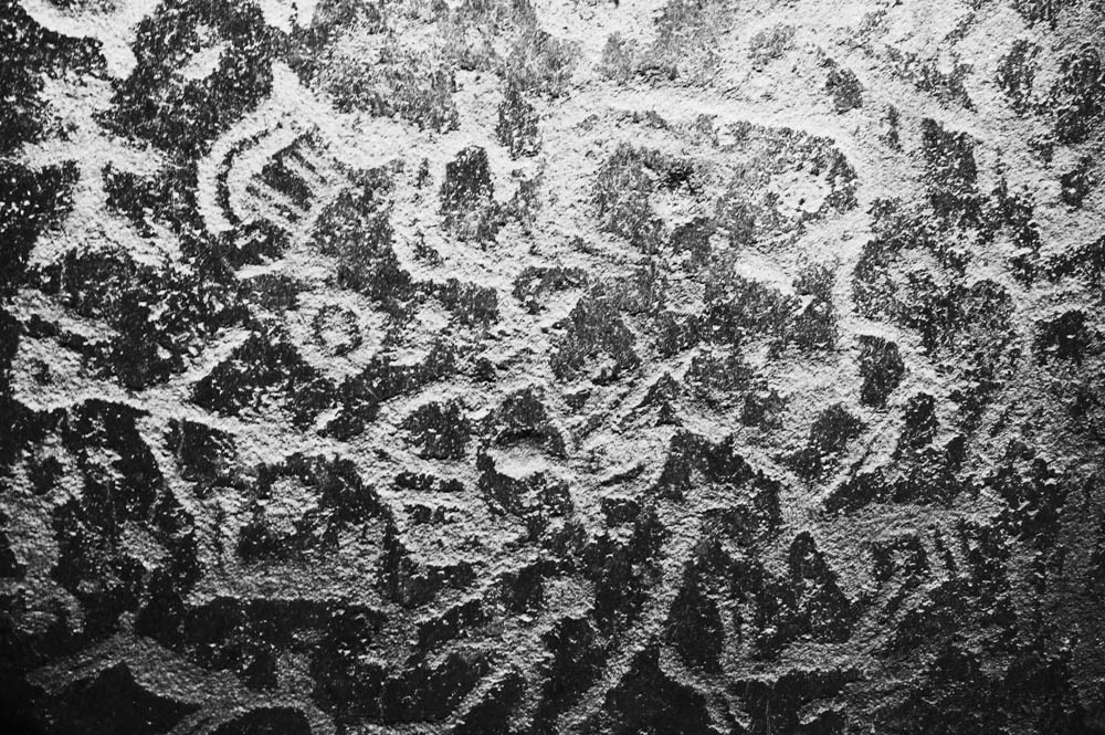 Кораль. На север к оленям. Репортажный фотограф в Сочи — Михаил Мордасов