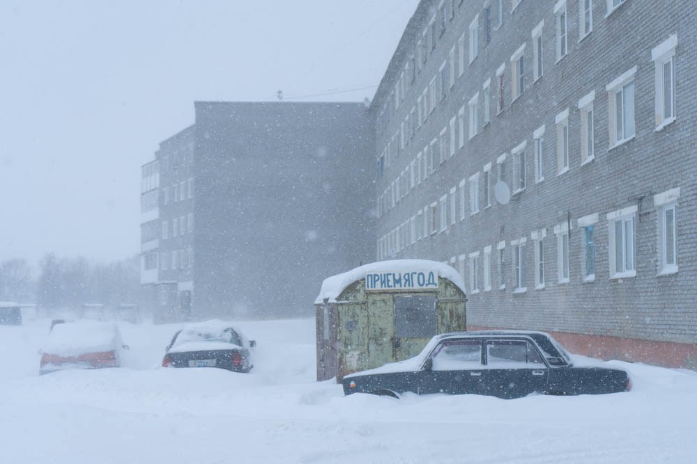 Кораль. На север к оленям. Репортажный фотограф в Сочи — Михаил Мордасов
