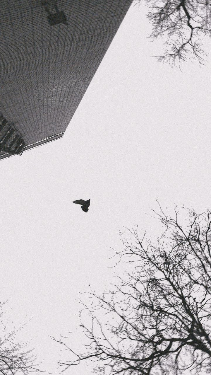 02.03.2025 // фотопрогулка с Сергеем Повитковым. Фотовыставки serebro.gallery, в которых автором можешь стать ты! | Москва