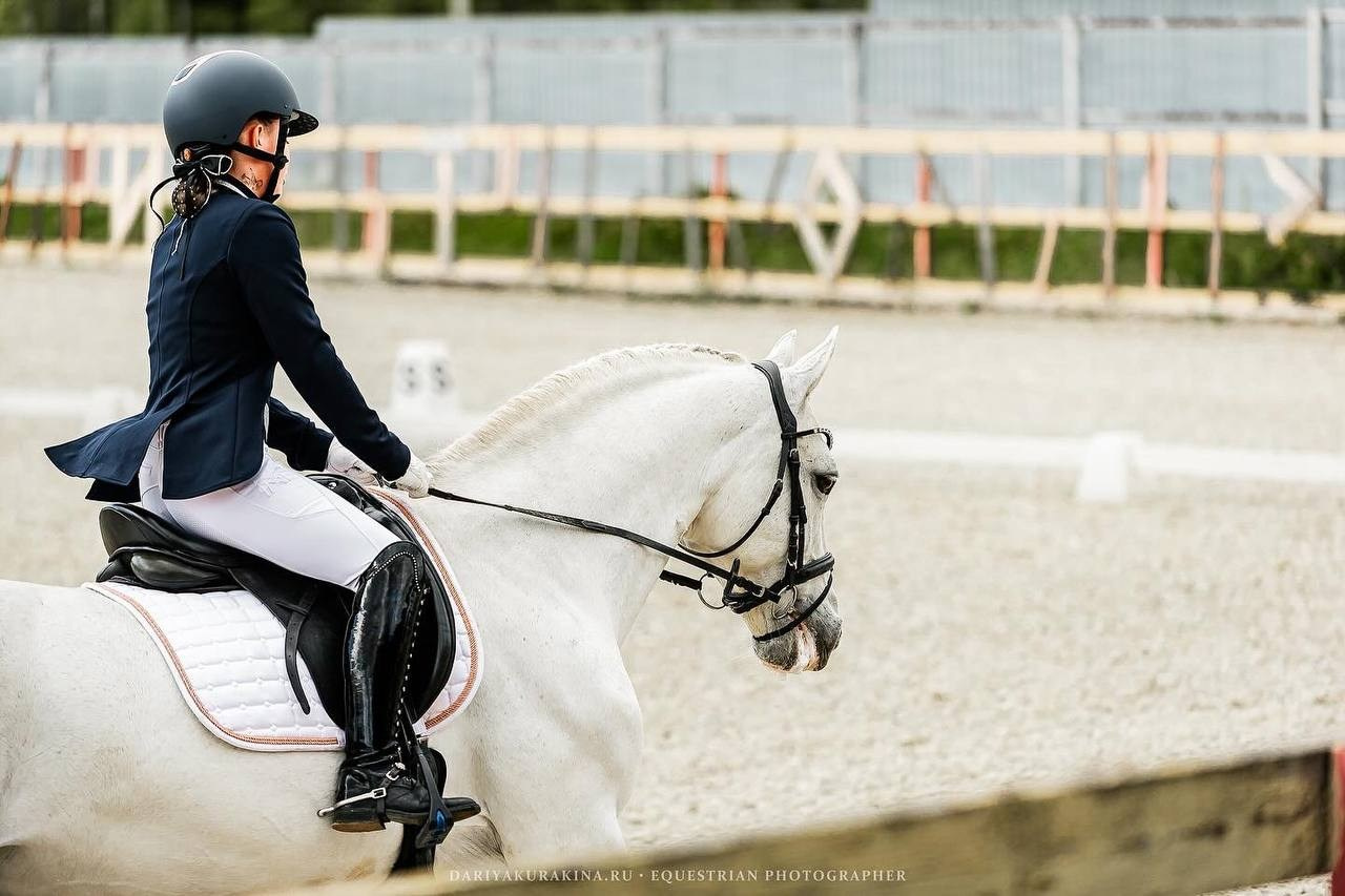 Кубок Московской области по выездке, КСК «Эквиторус». Конный фотограф Куракина Дарья • Фотосессии с лошадьми