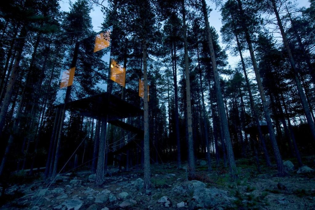 Treehotel, Швеция от 60 т.р. Фотограф для маркетплейсов Михаил Бове