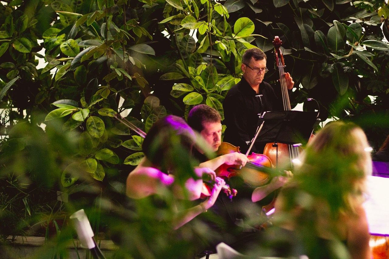 Petro Art — квартет в Таврическом саду (Рок Хиты). EvgenyCraft