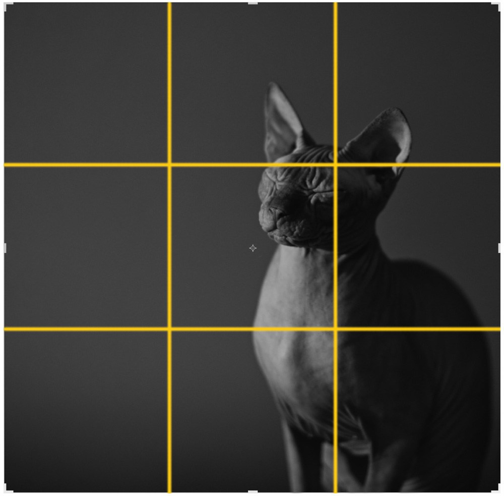 Композиция кадра. Семейный и свадебный фотограф в Майкопе Михаил Мартиросян