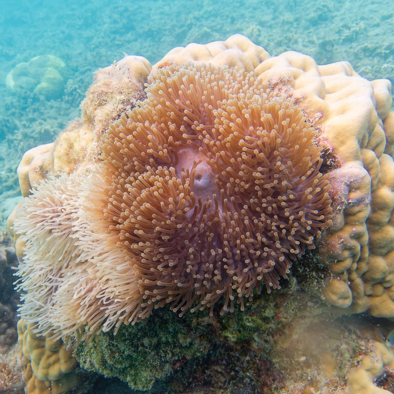 Мне посмотреть. Рыбов показываю