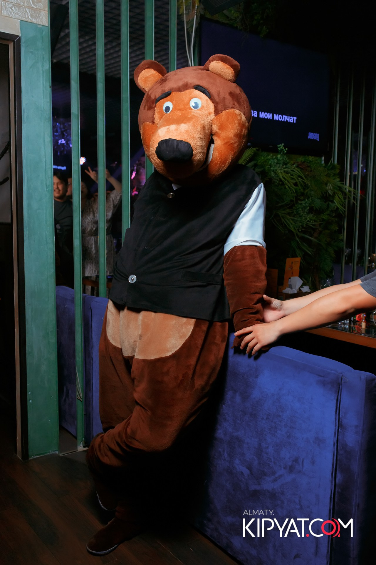 УХО И МЕДВЕДЬ НА САИНА. КИПЯТКОМ АЛМАТЫ!