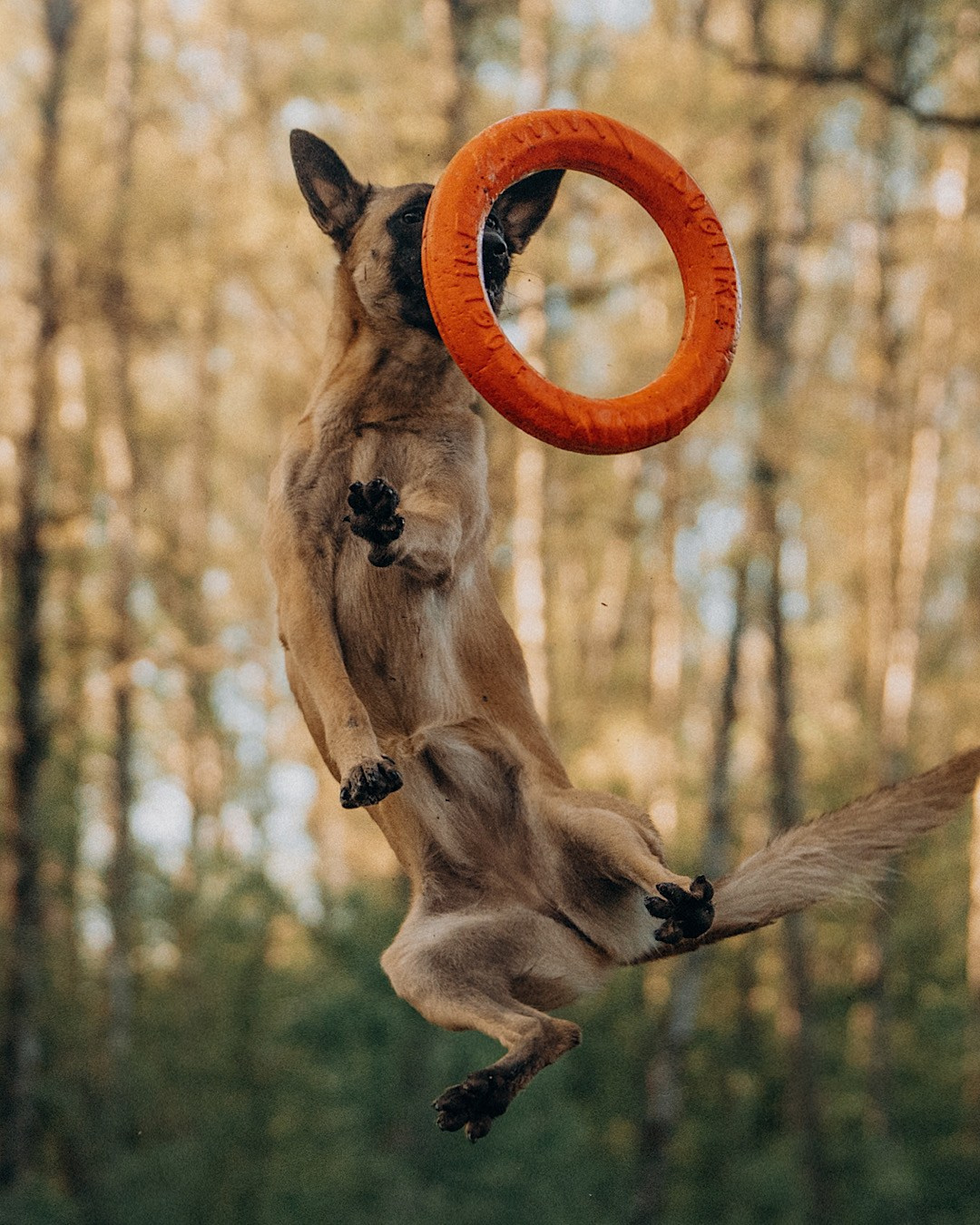 Наталья, Сергей и Уна. Фотограф анималист в Москве и Санкт-Петербурге Свиридова Анна