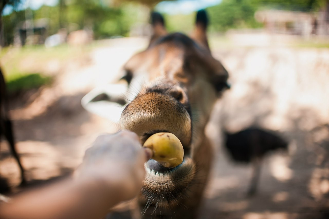 МОЙ 2014. Фотограф