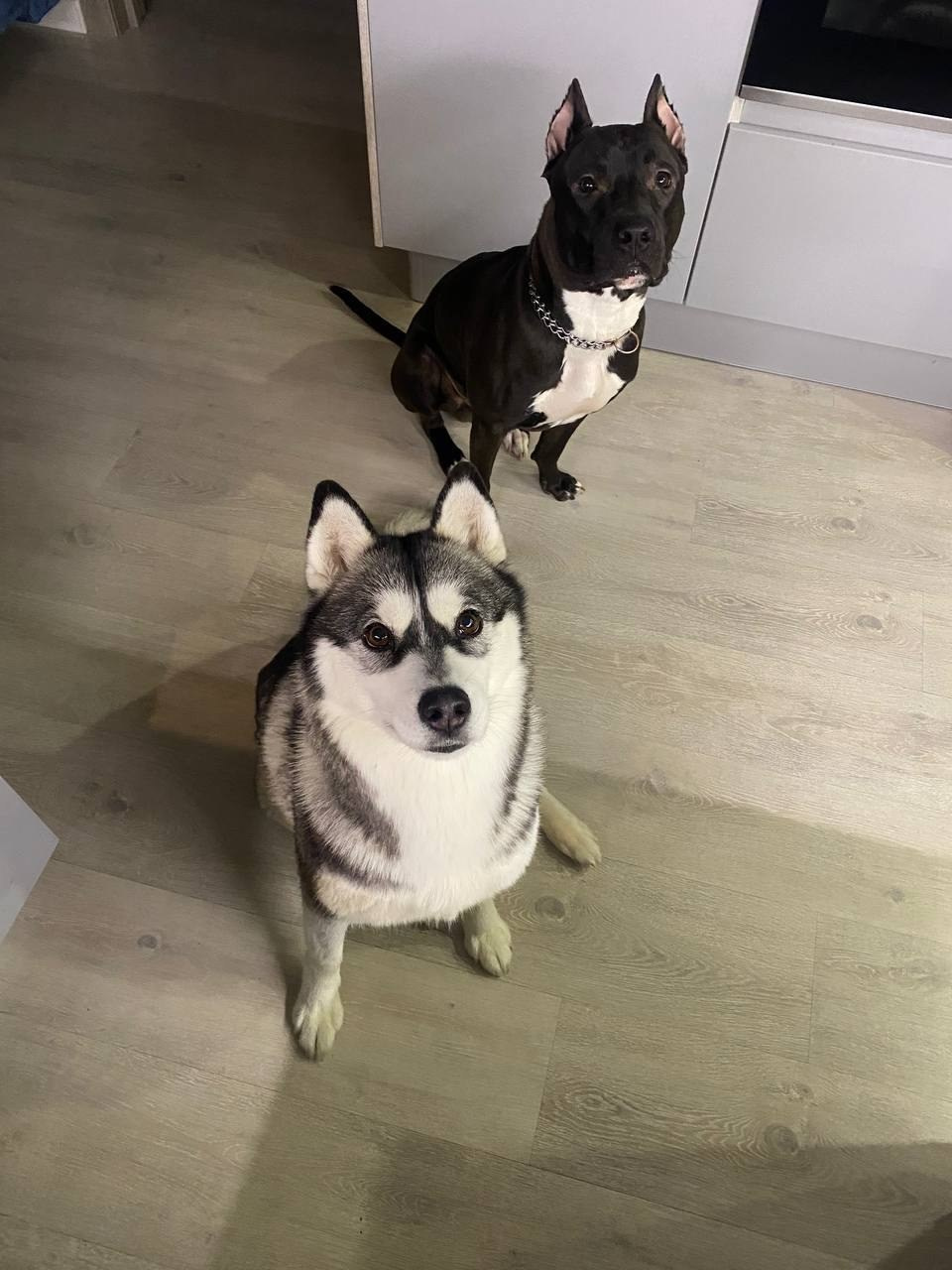 Обработка фото