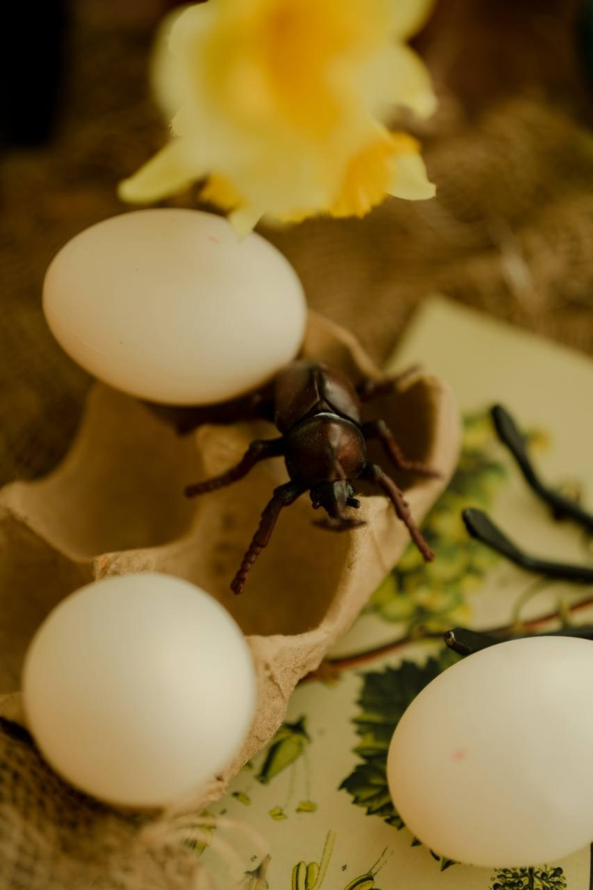 Локации. Семейный фотограф Валентина Качур в Сочи