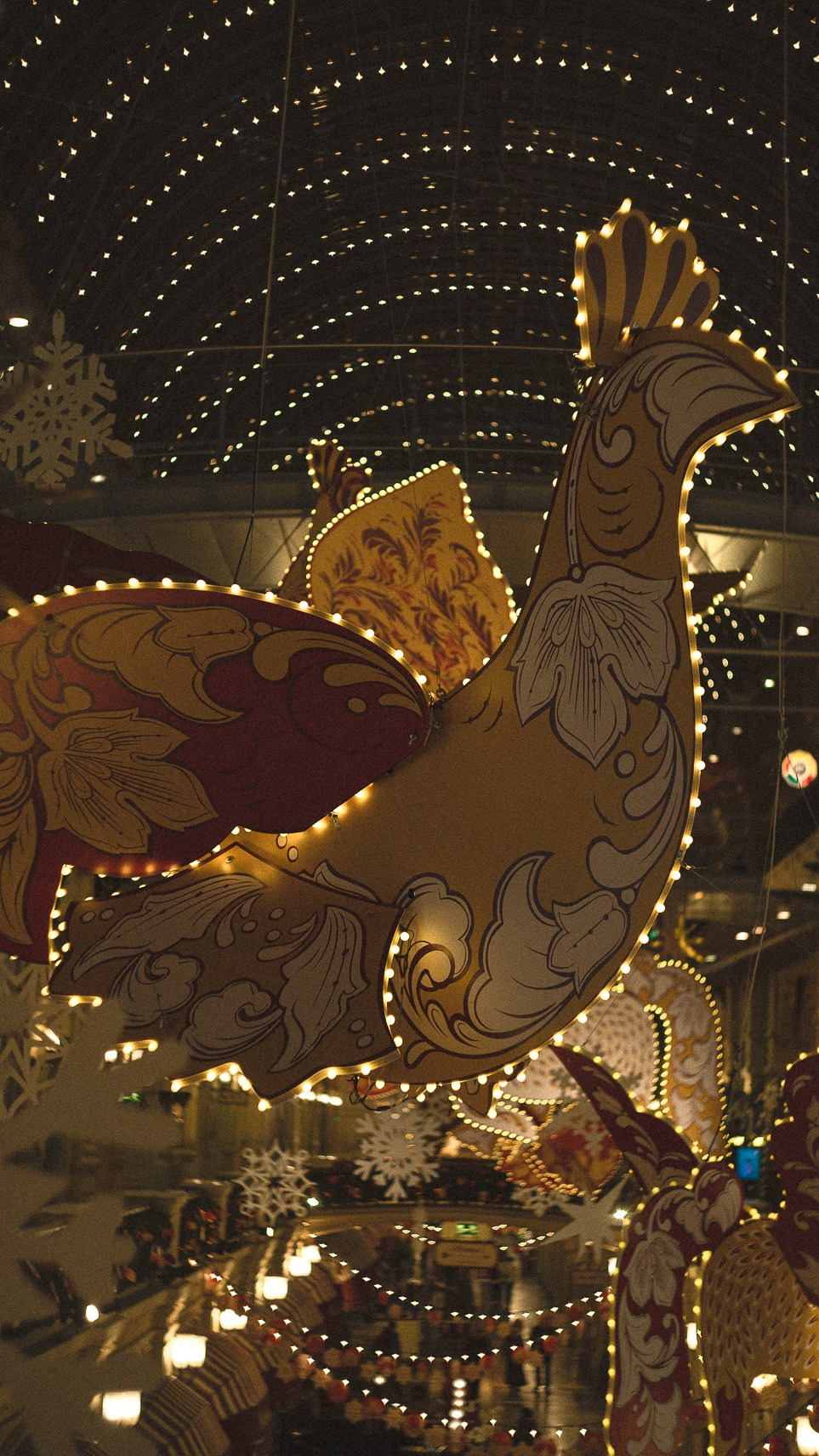 Москва. Ноябрь. 2024. Фотограф в Сочи Елена Лисотина. Фототуры в Сочи