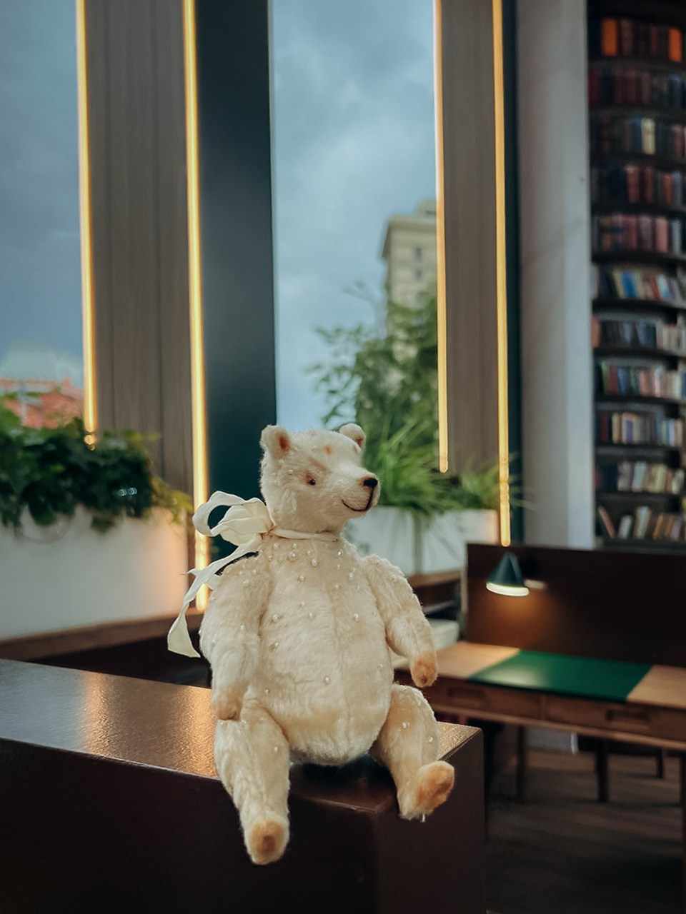 Тедди. Фотограф Ольга Сальманович