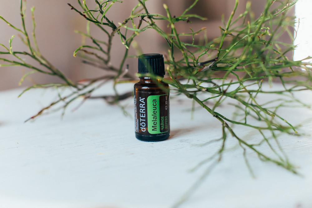 Предметка. Семейный и детский фотограф