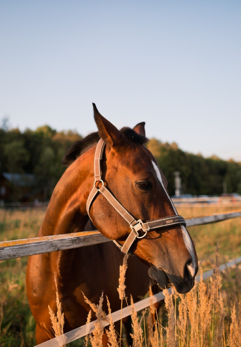 Марина, Дима, Аня