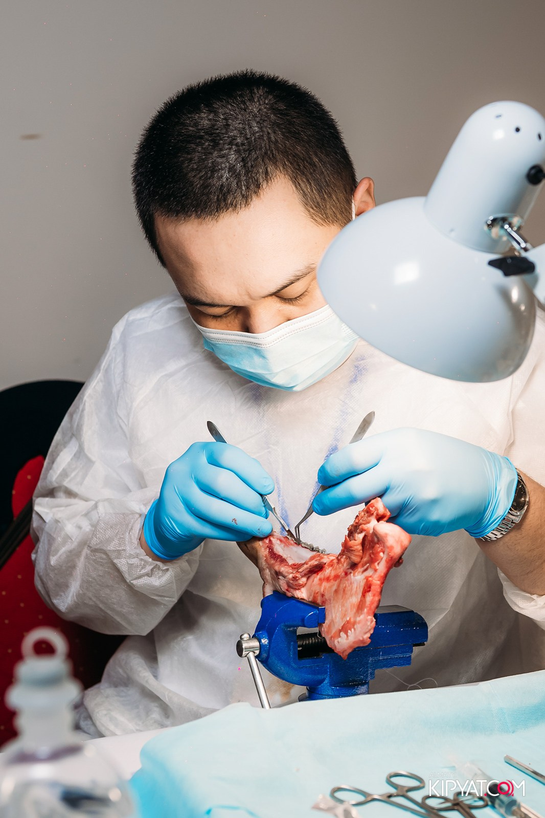 КУРС ДЛЯ СТОМАТОЛОГОВ ОСЛОЖНЕНИЯ В ХИРУРГИЧЕСКОЙ ПРАКТИКЕ КТО ВИНОВАТ И ЧТО ДЕЛАТЬ. КИПЯТКОМ АЛМАТЫ!