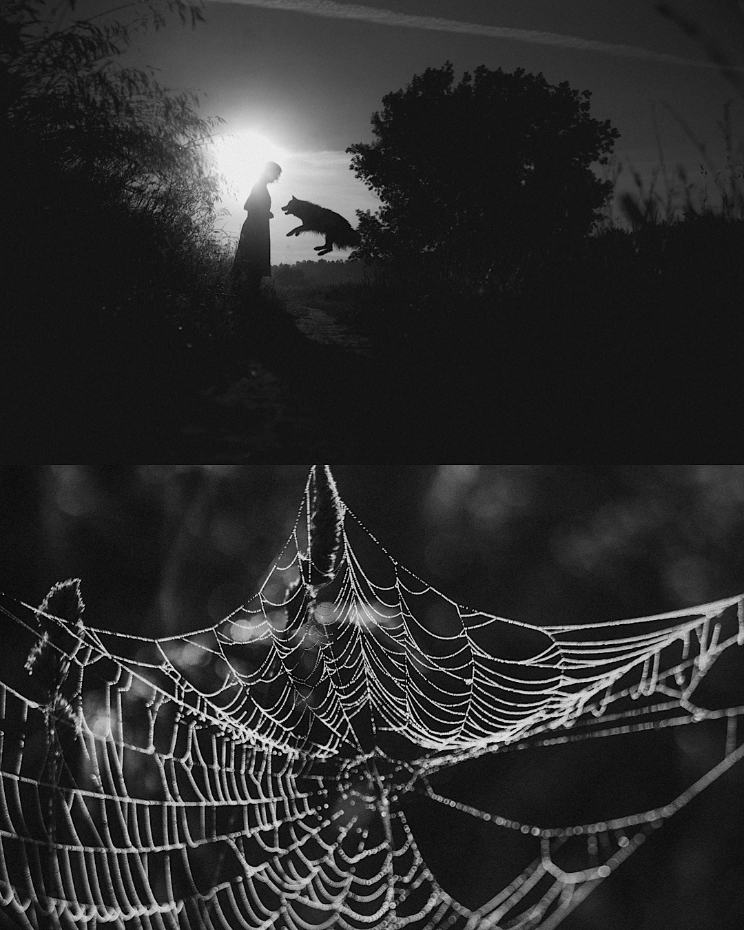 Рина и Марси. Фотограф анималист в Москве и Санкт-Петербурге Свиридова Анна