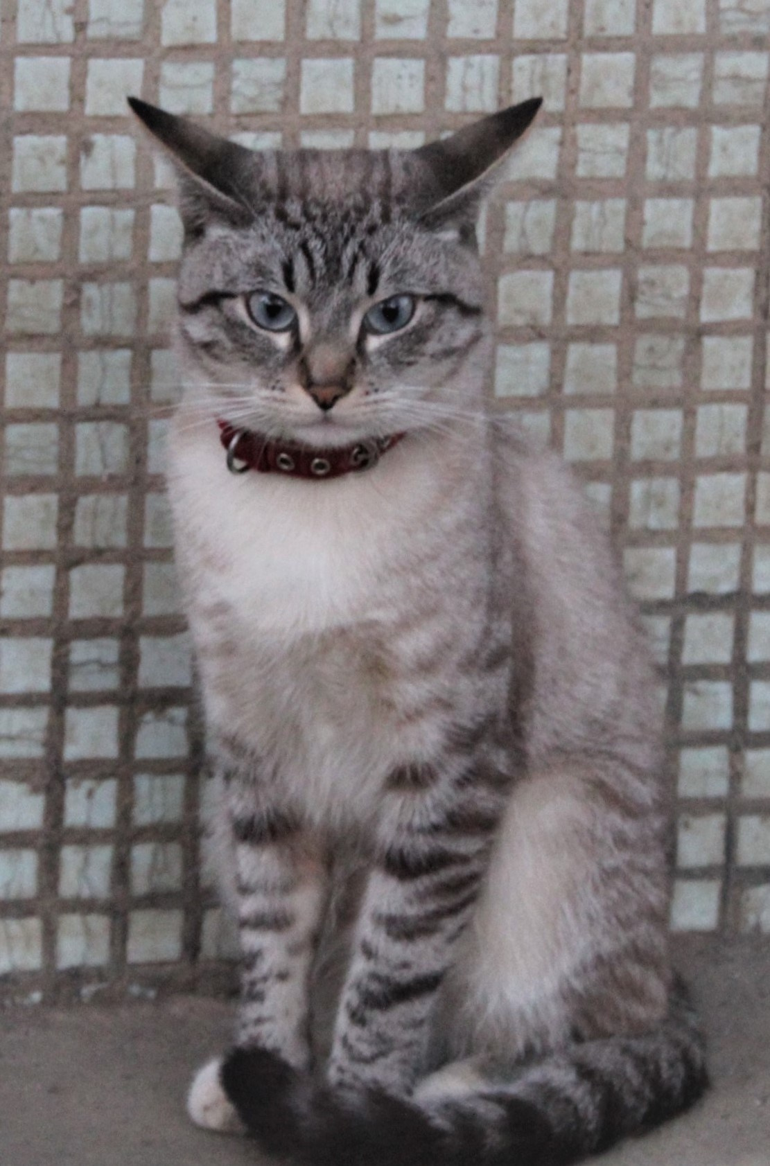 Всё, что я вижу вокруг себя