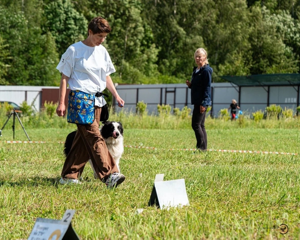 Карныш. BLGKV питомник собак