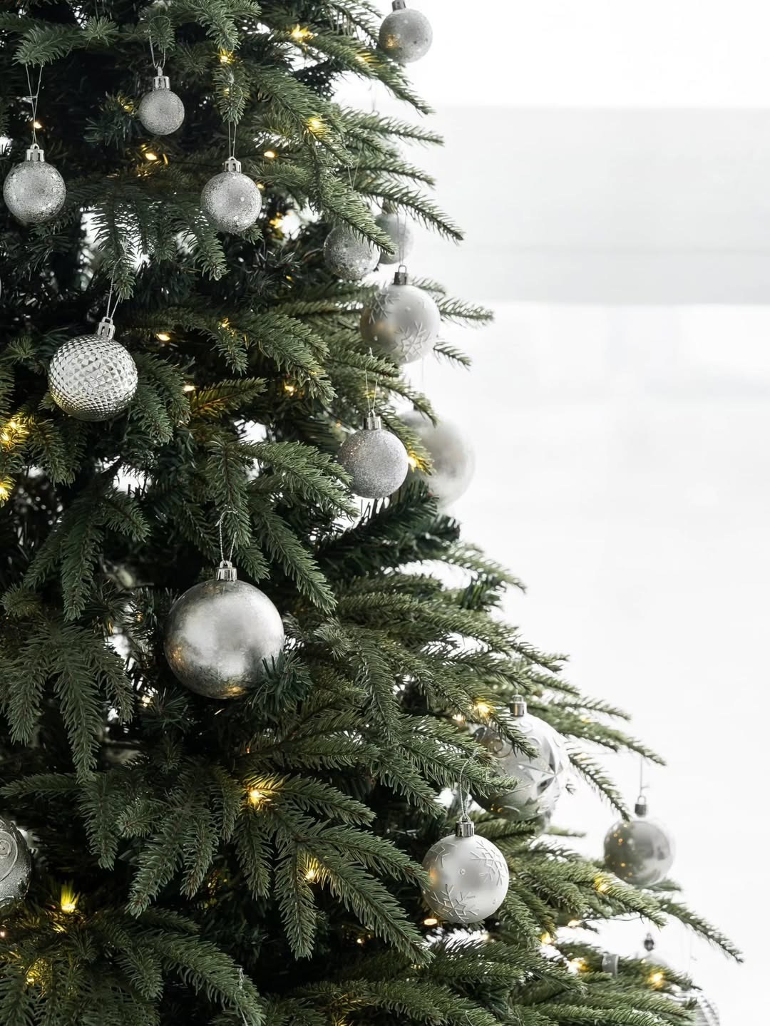 ЗАЛ ЛЬЕЖ Студия URBAN (2 речка). Фотограф для жизни, бизнеса и соц сетей Ирина Нечет, Владивосток