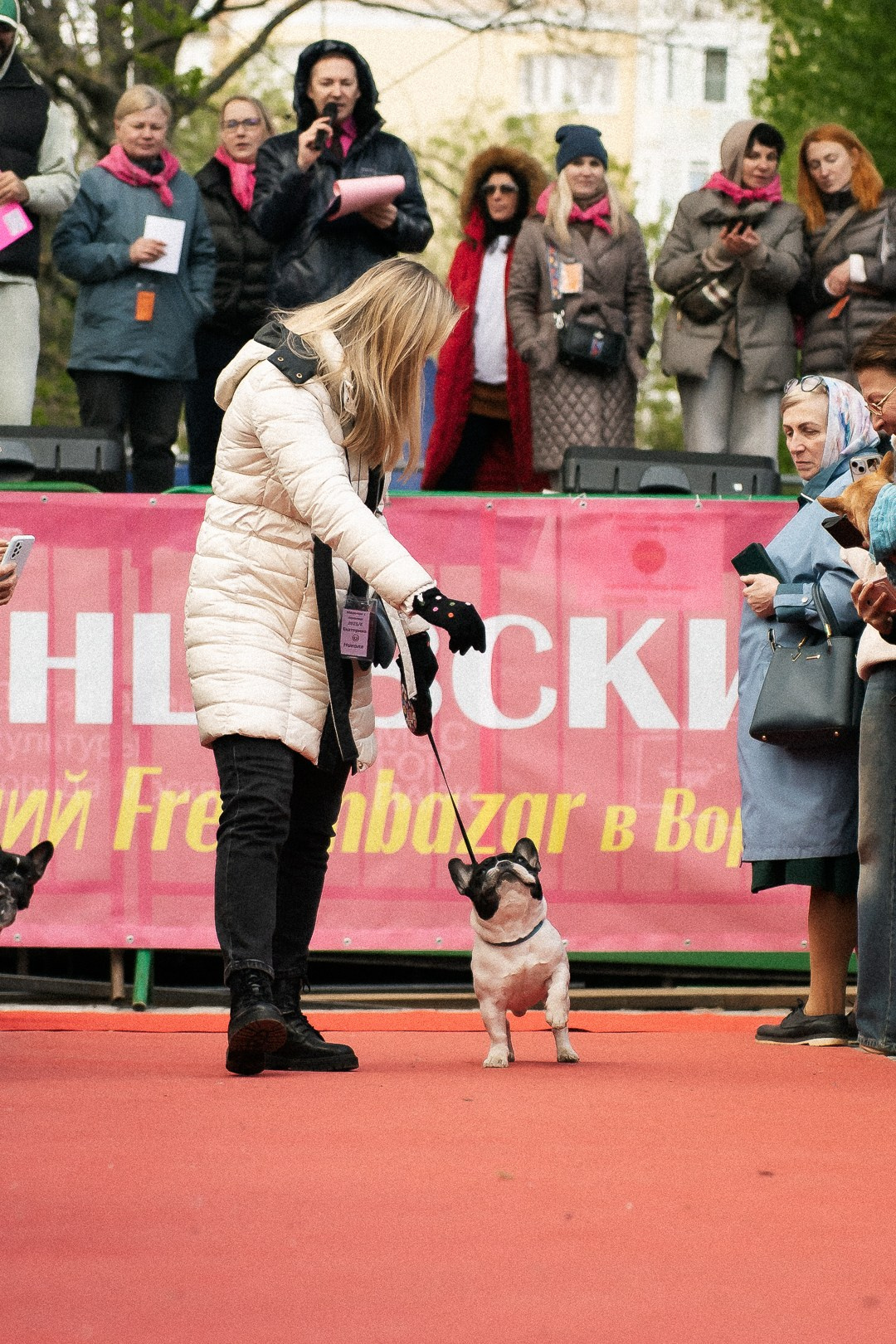 Парад Бульдогов. Axenov_eugene