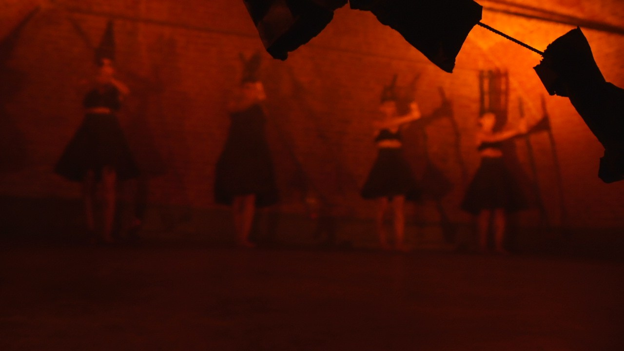 Красное дерево. Фото / Видеосъемка в Москве