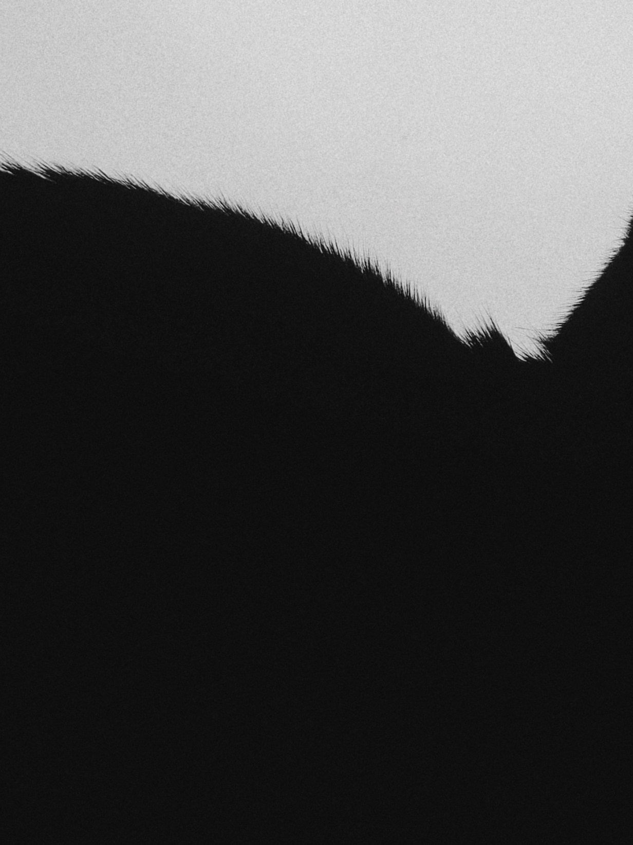 ГУМ «Искусство XXI ВЕКА» Глава 3 Москва. ARTEXPOPHOTO