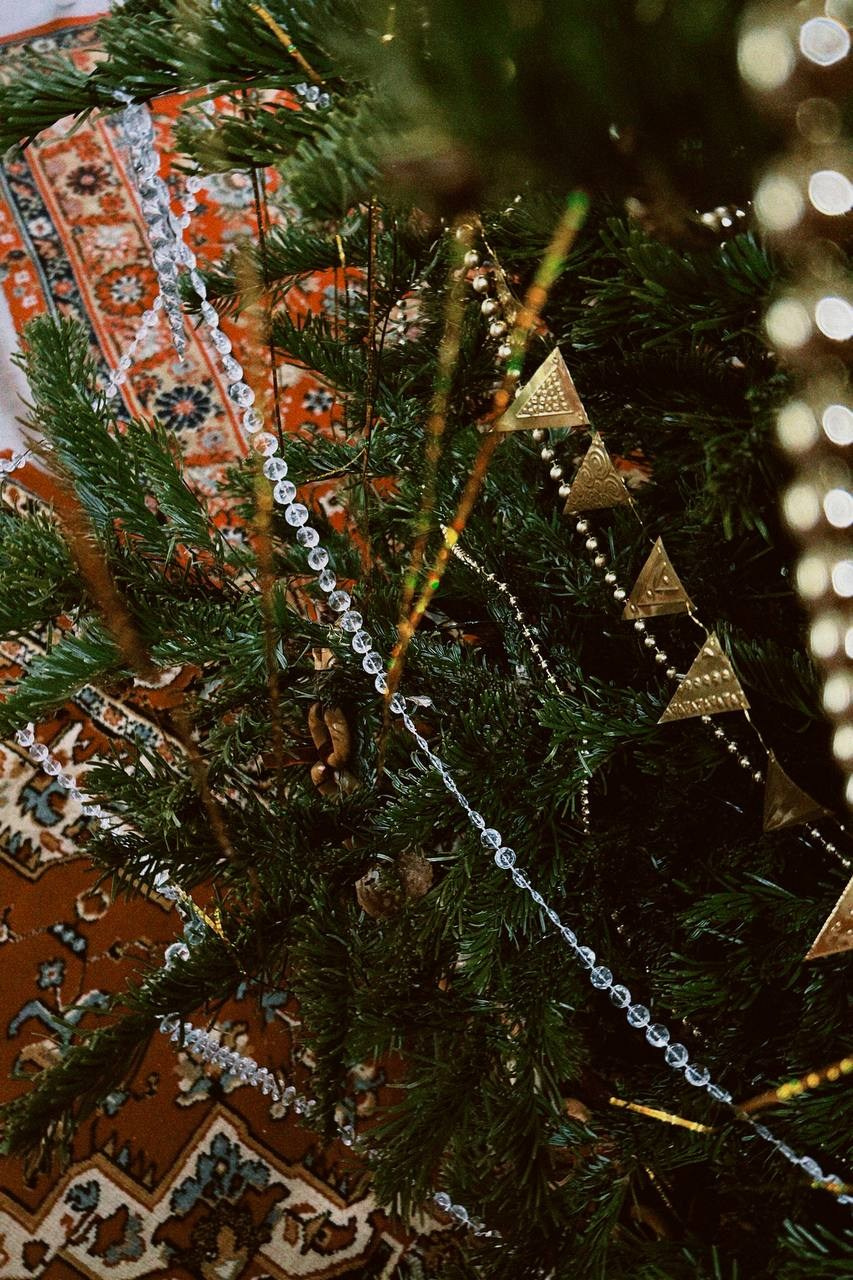 М4 Елка. Фотограф Настя Лев