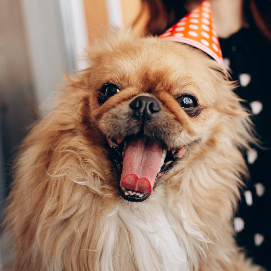 Семейный фотограф в Белгороде